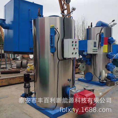 丰百利燃气锅炉 山东定制加工专家，宽域适用与高性价比之选