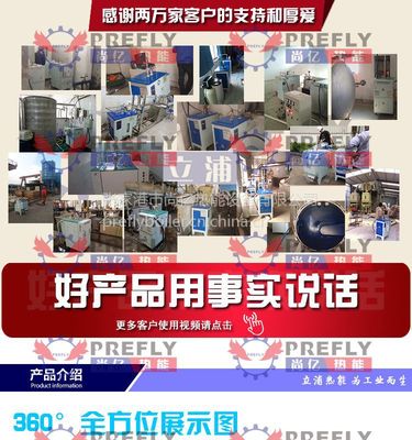 立浦电蒸汽锅炉 环保小型全自动蒸汽发生器价格与厂家解析
